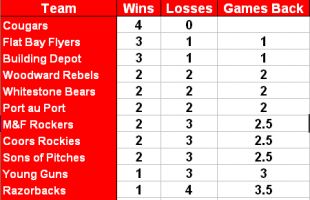 Molson Rec Softball League Standings