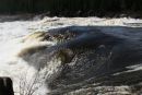 Muskrat fails to top issues
